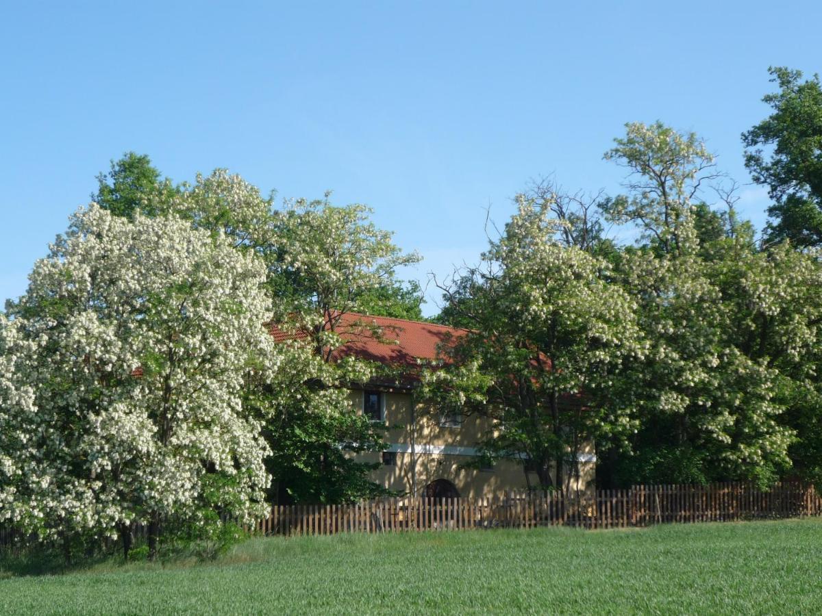 Erdei Vendégház Bogot Exterior foto